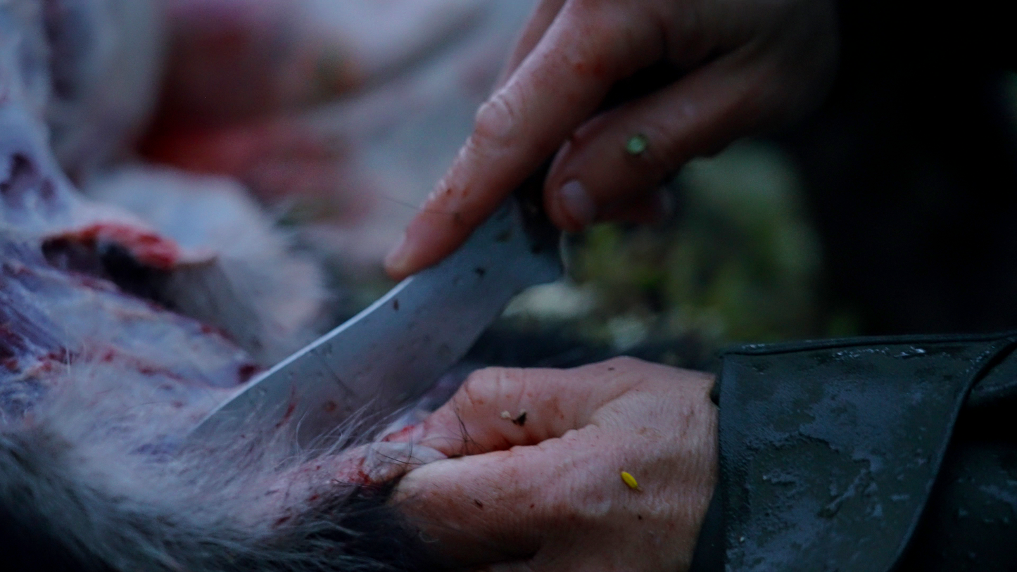 Cliff’s Skinner