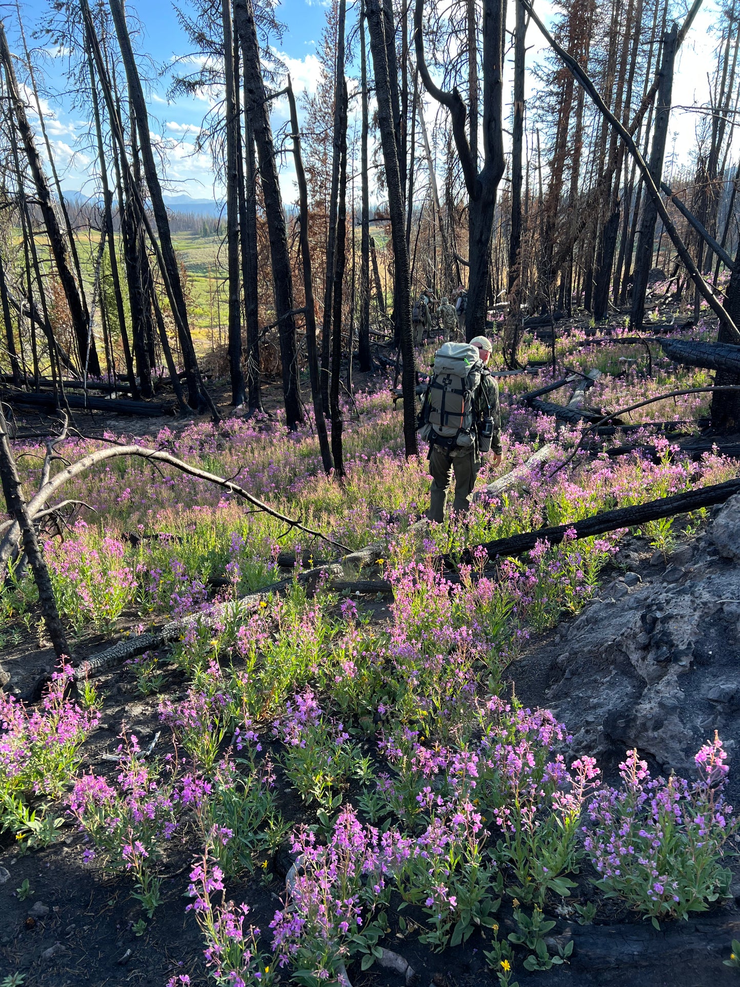 Elk Hunting Master Class