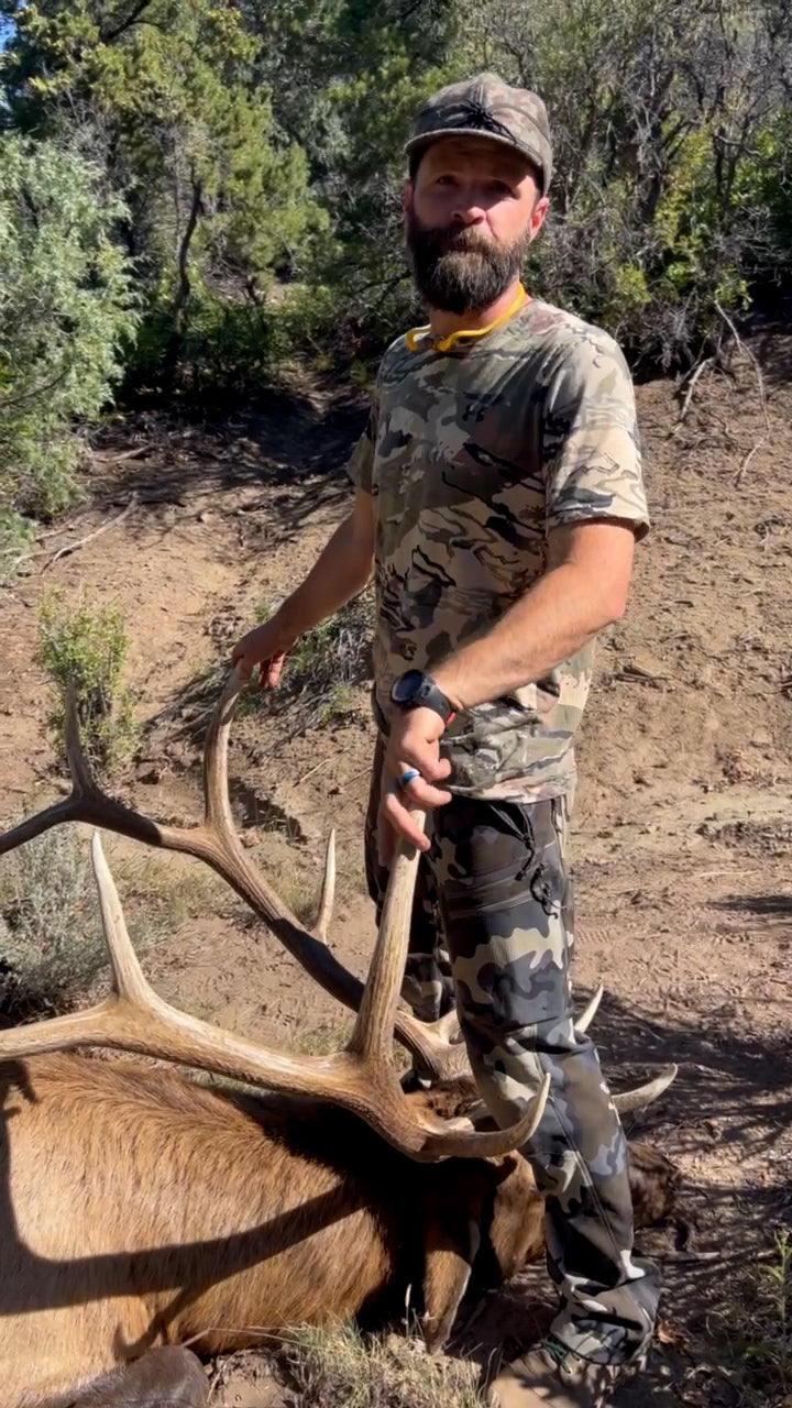 Balance - Colorado Wilderness Elk Guided
