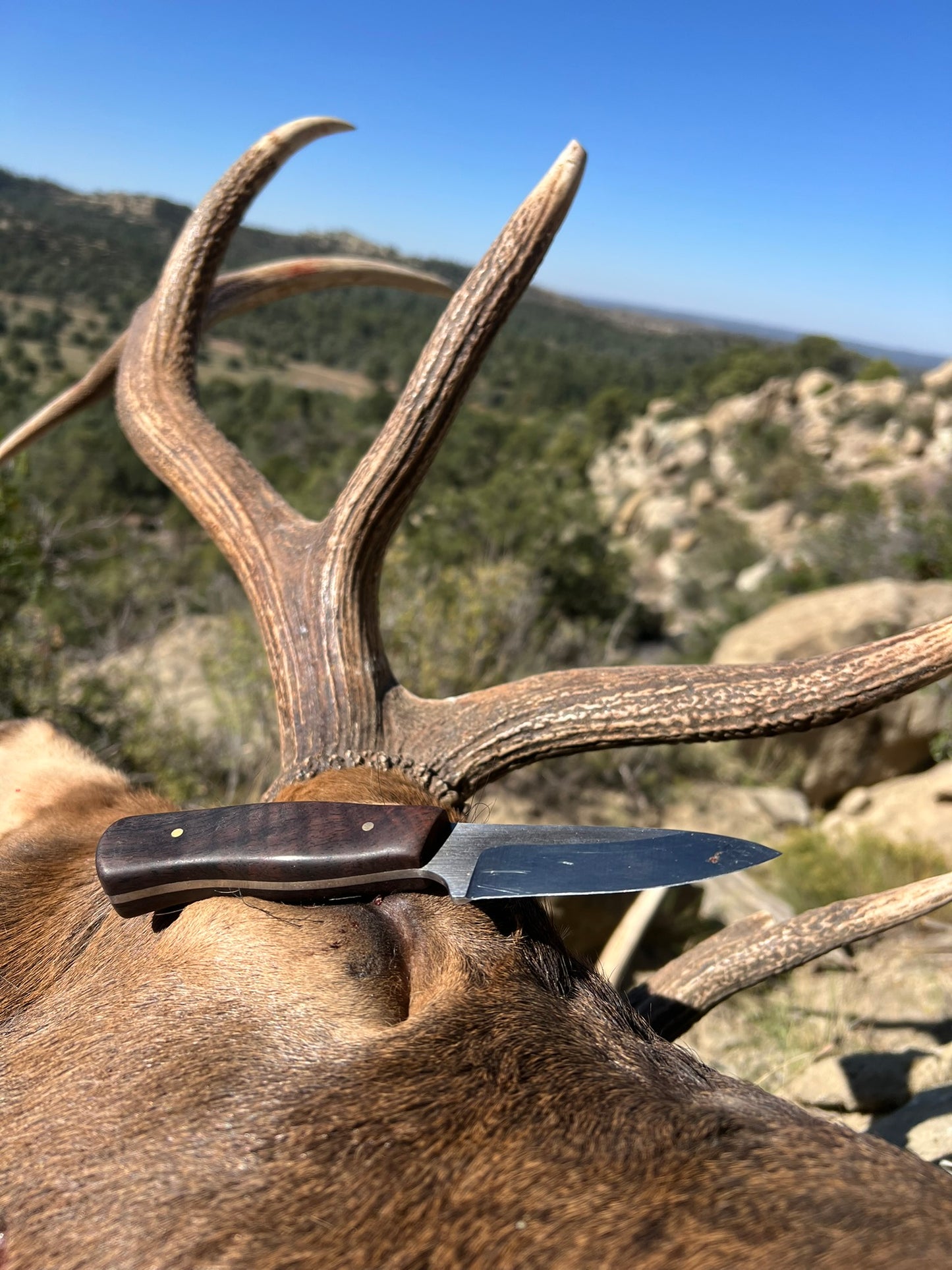 Cliff's Hunter