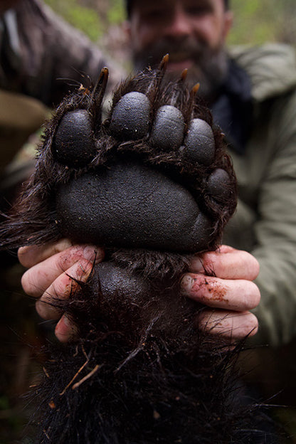 Selway Spring Bear Hunt - Idaho