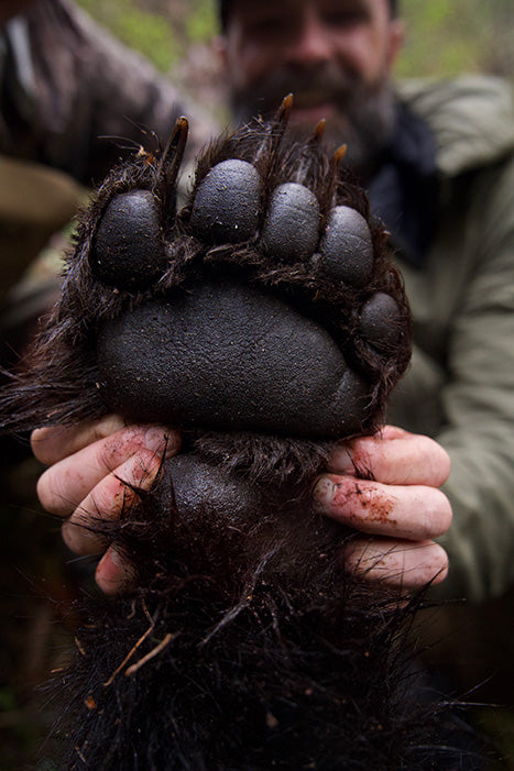 Selway Spring Bear Hunt - Idaho
