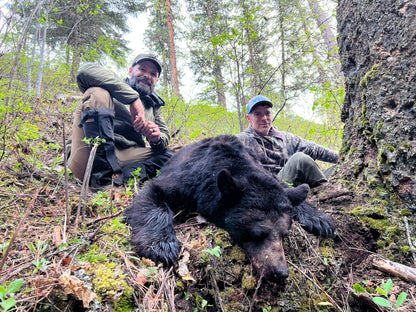 Selway Spring Bear Hunt - Idaho