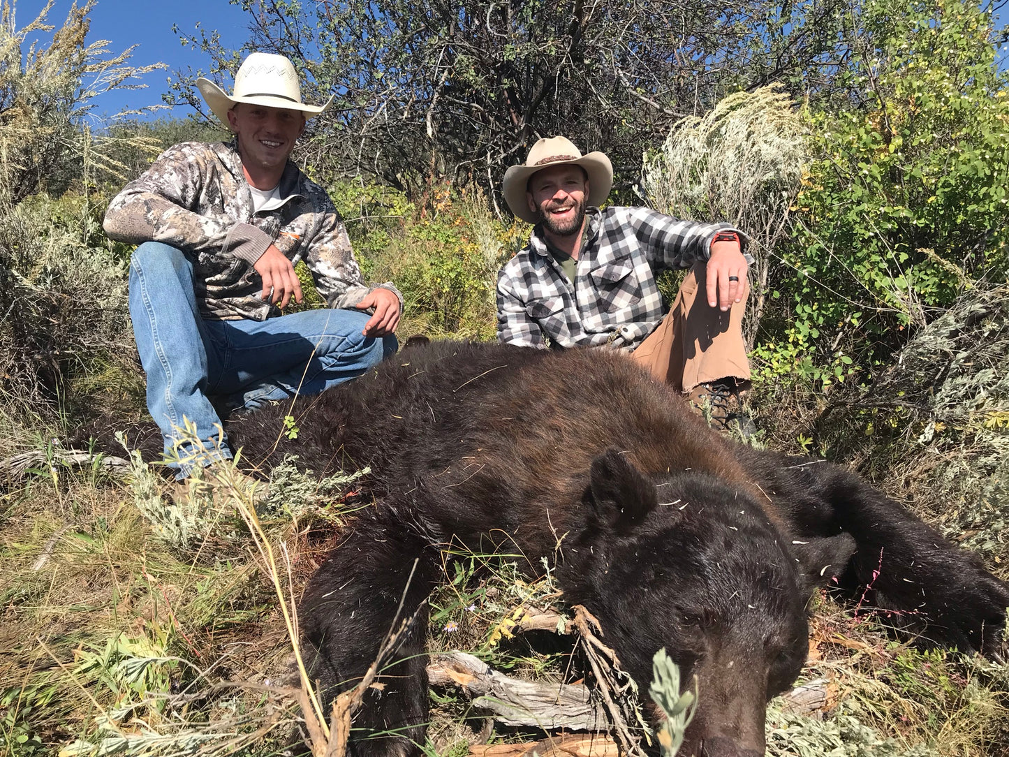 Colorado Fall Bear