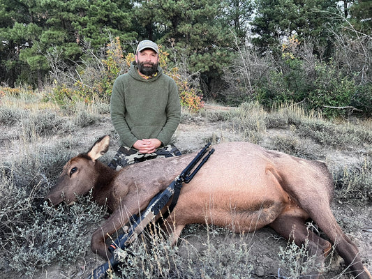 Colorado Cow Elk